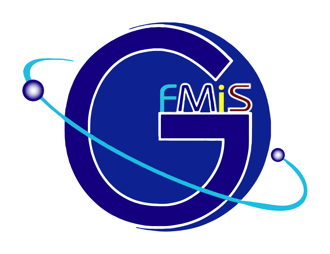 GFMIS